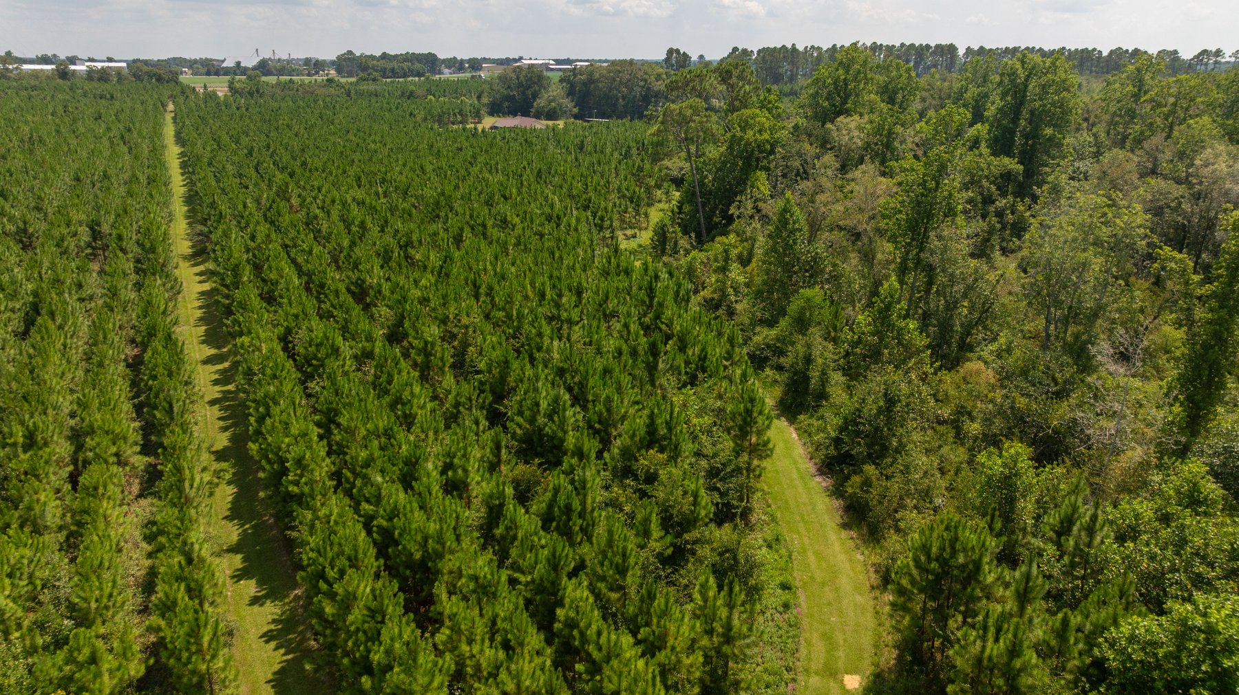 Image for 14+/- Total Acres - Recreational & Homesite Opportunity