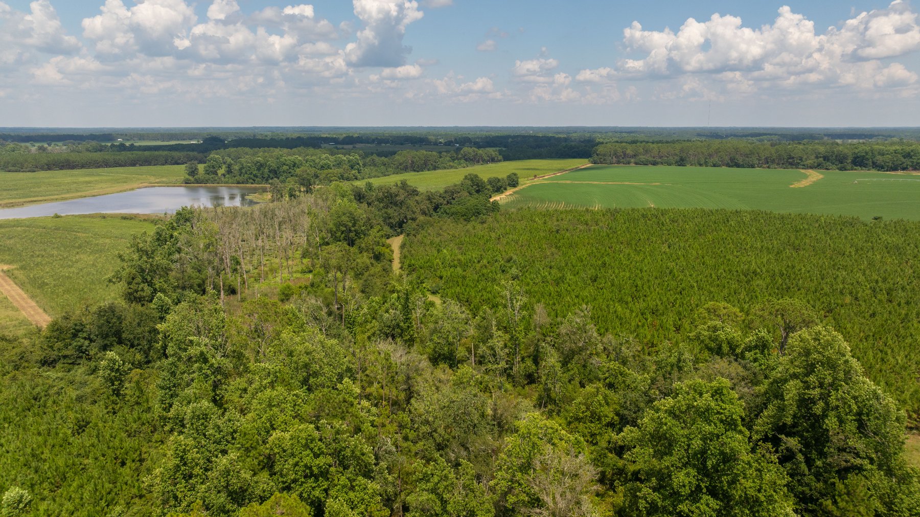 Image for 14+/- Total Acres - Recreational & Homesite Opportunity