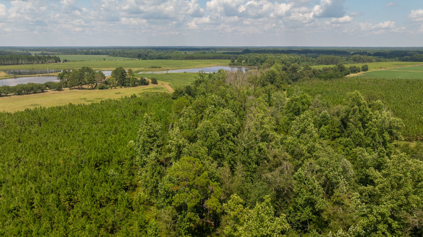 Image for 14+/- Total Acres - Recreational & Homesite Opportunity