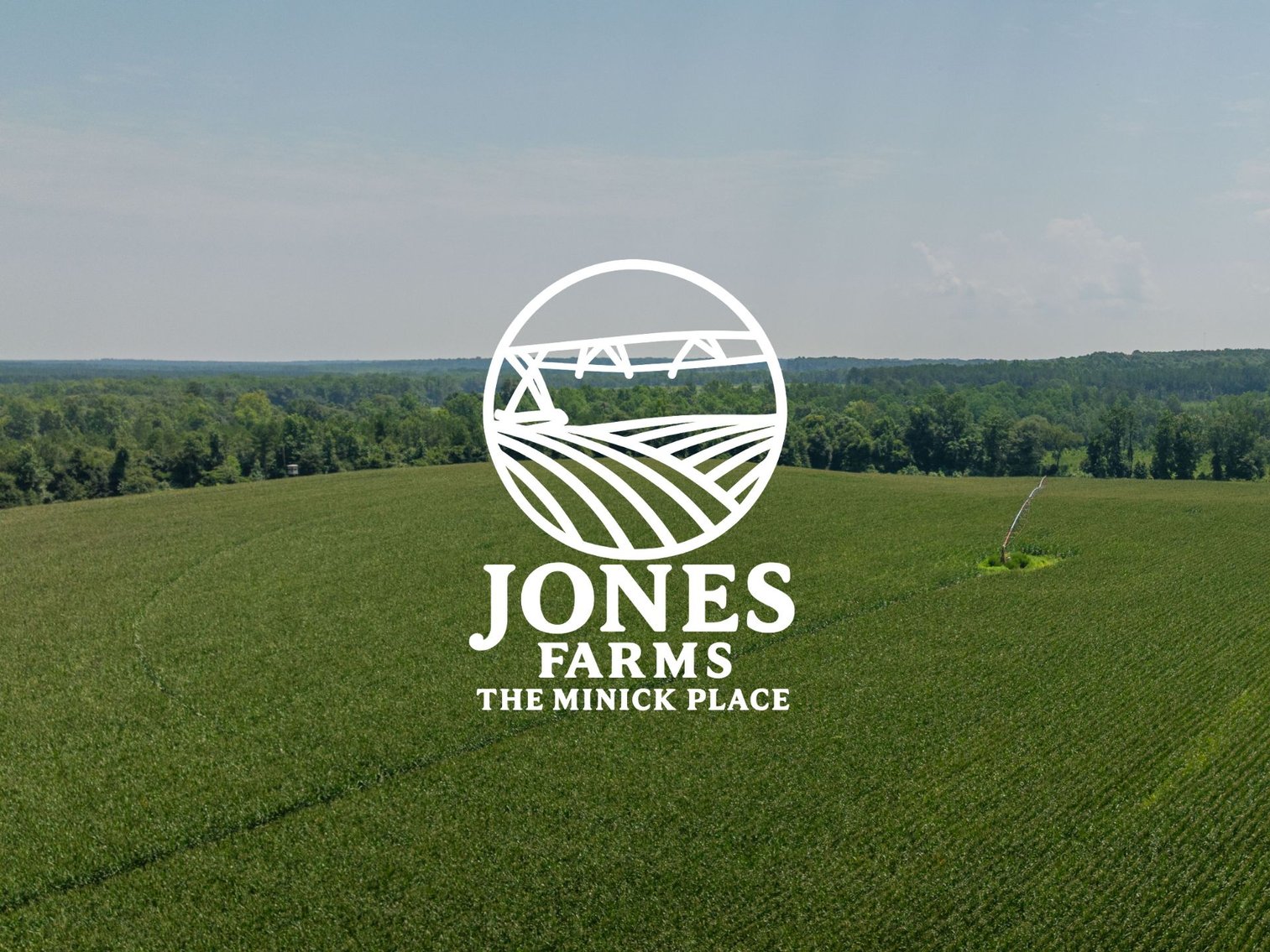 Image for The Minick Place - 204+/- Total Acres - Premium Recreational Tract - Row Crop Farmland - Choctahatchee Creek Frontage