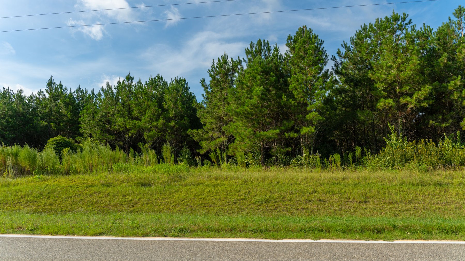 Image for 28+/- Total Acres - Versatile Land for Recreation & Living