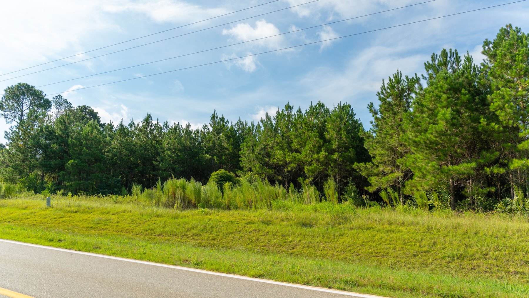 Image for 28+/- Total Acres - Versatile Land for Recreation & Living