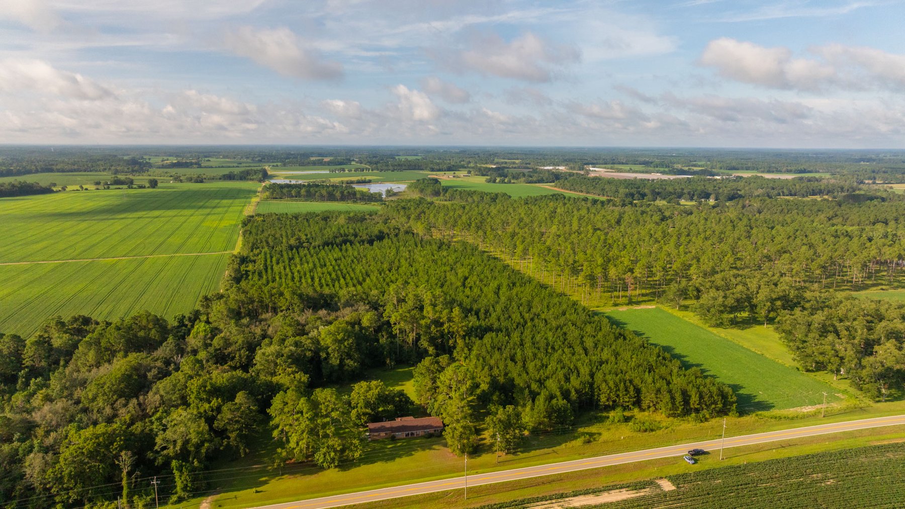 Image for 28+/- Total Acres - Versatile Land for Recreation & Living