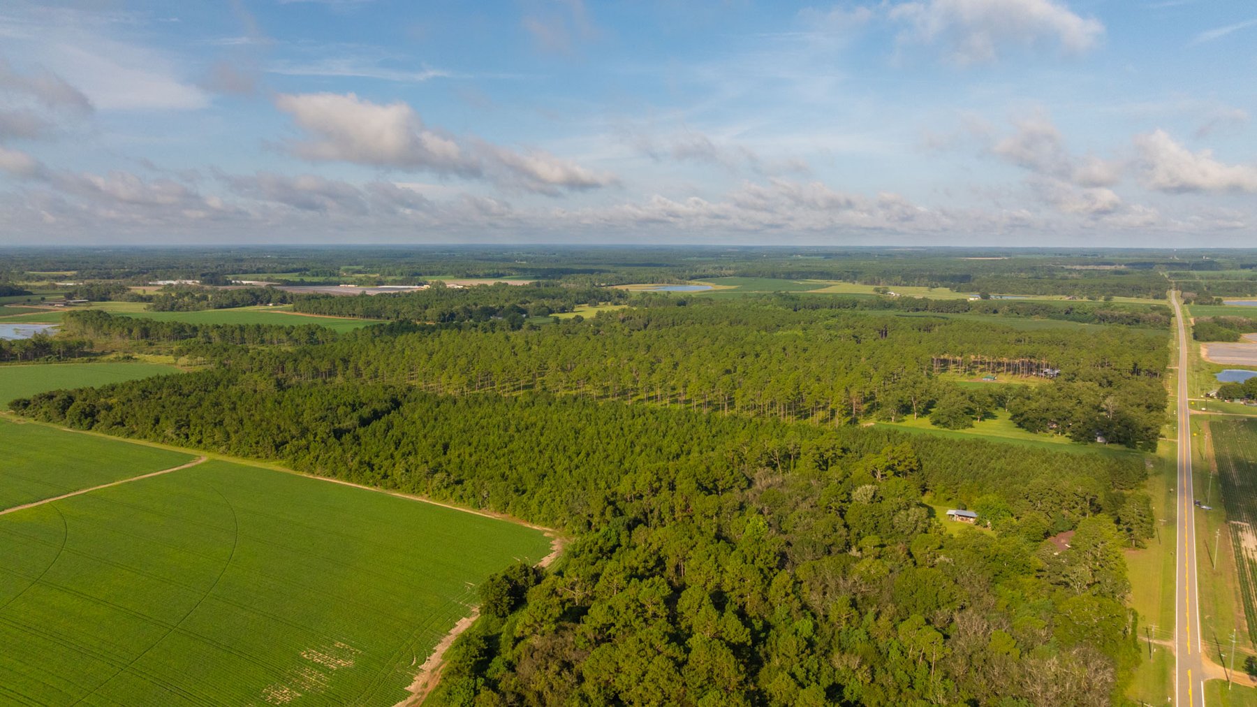 Image for 28+/- Total Acres - Versatile Land for Recreation & Living