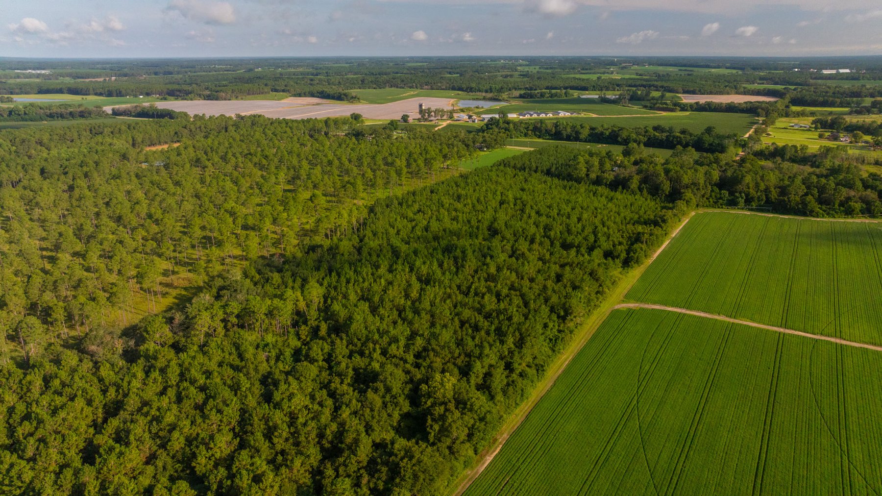 Image for 28+/- Total Acres - Versatile Land for Recreation & Living