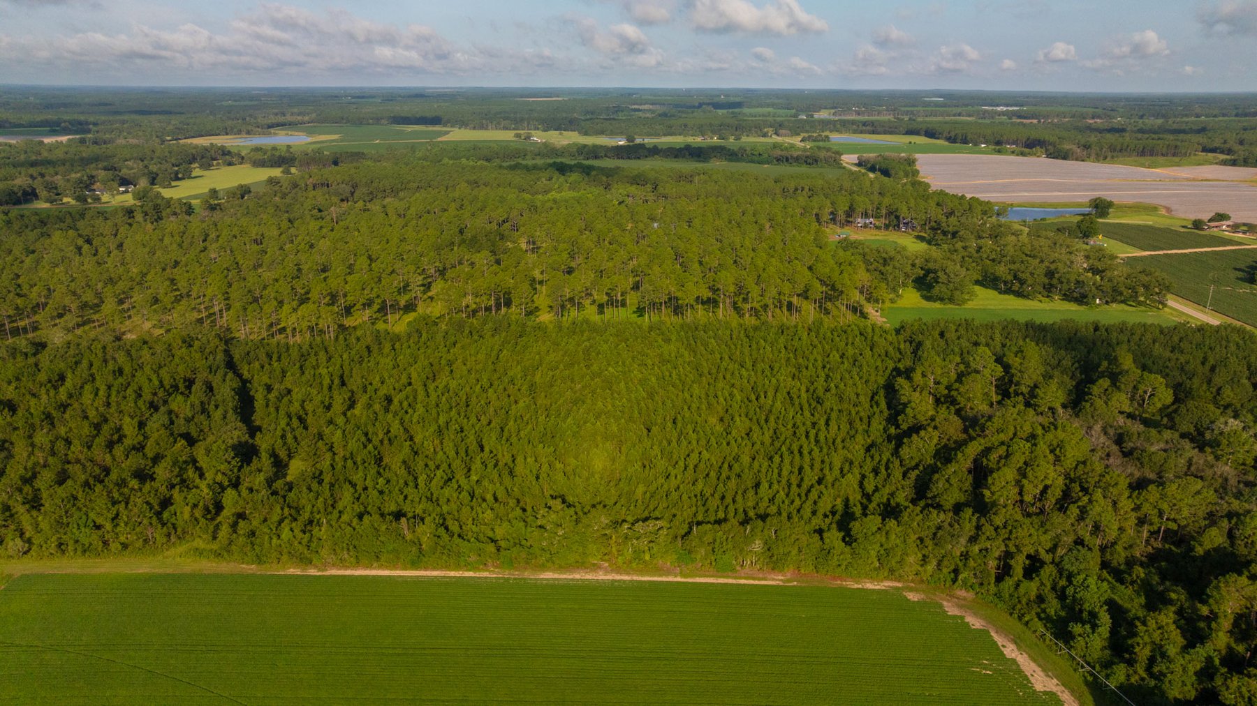 Image for 28+/- Total Acres - Versatile Land for Recreation & Living