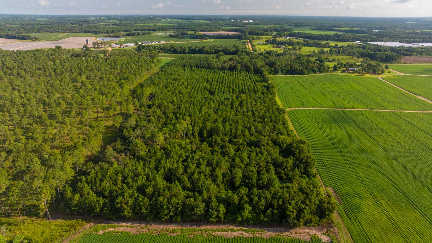 Image for 28+/- Total Acres - Versatile Land for Recreation & Living