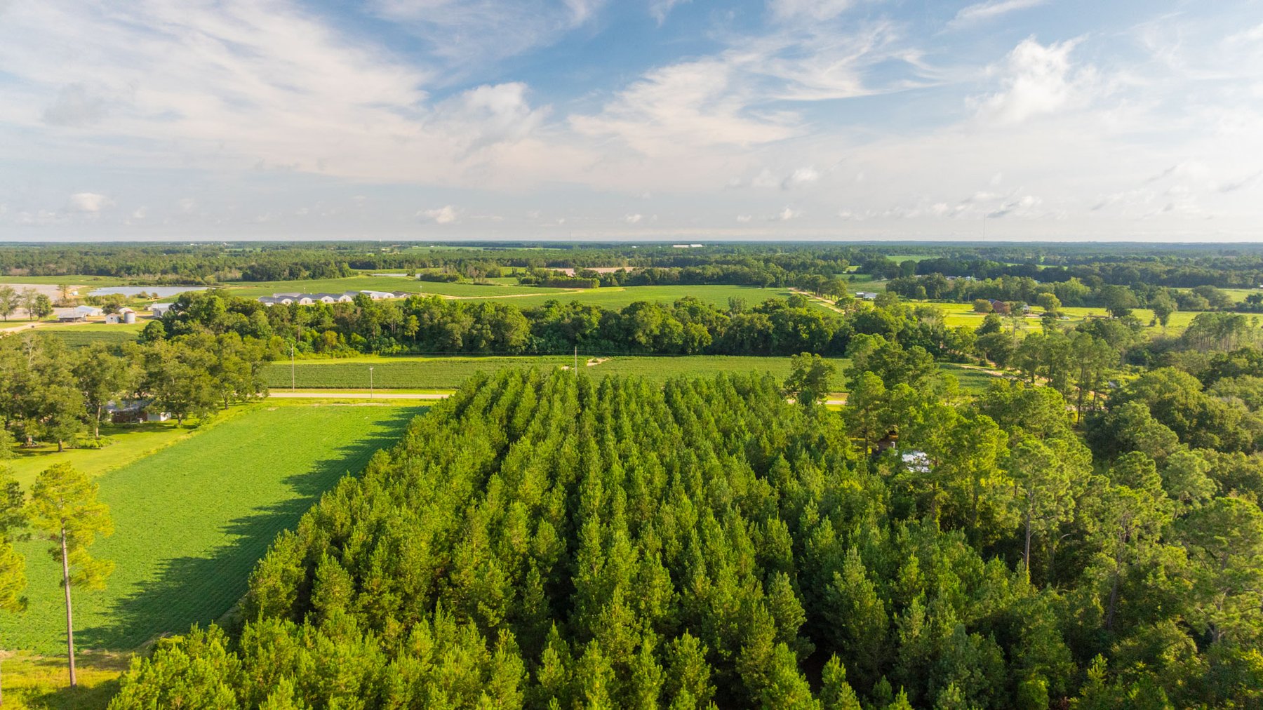 Image for 28+/- Total Acres - Versatile Land for Recreation & Living