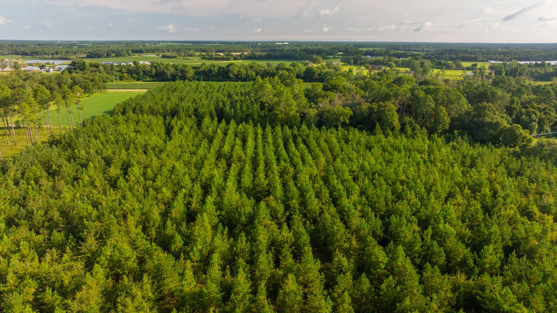 Image for 28+/- Total Acres - Versatile Land for Recreation & Living