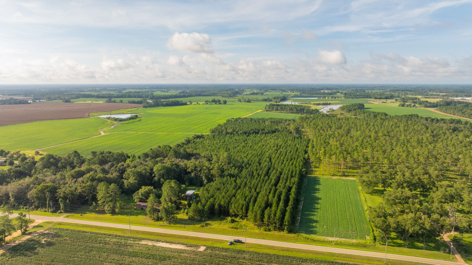 Image for 28+/- Total Acres - Versatile Land for Recreation & Living