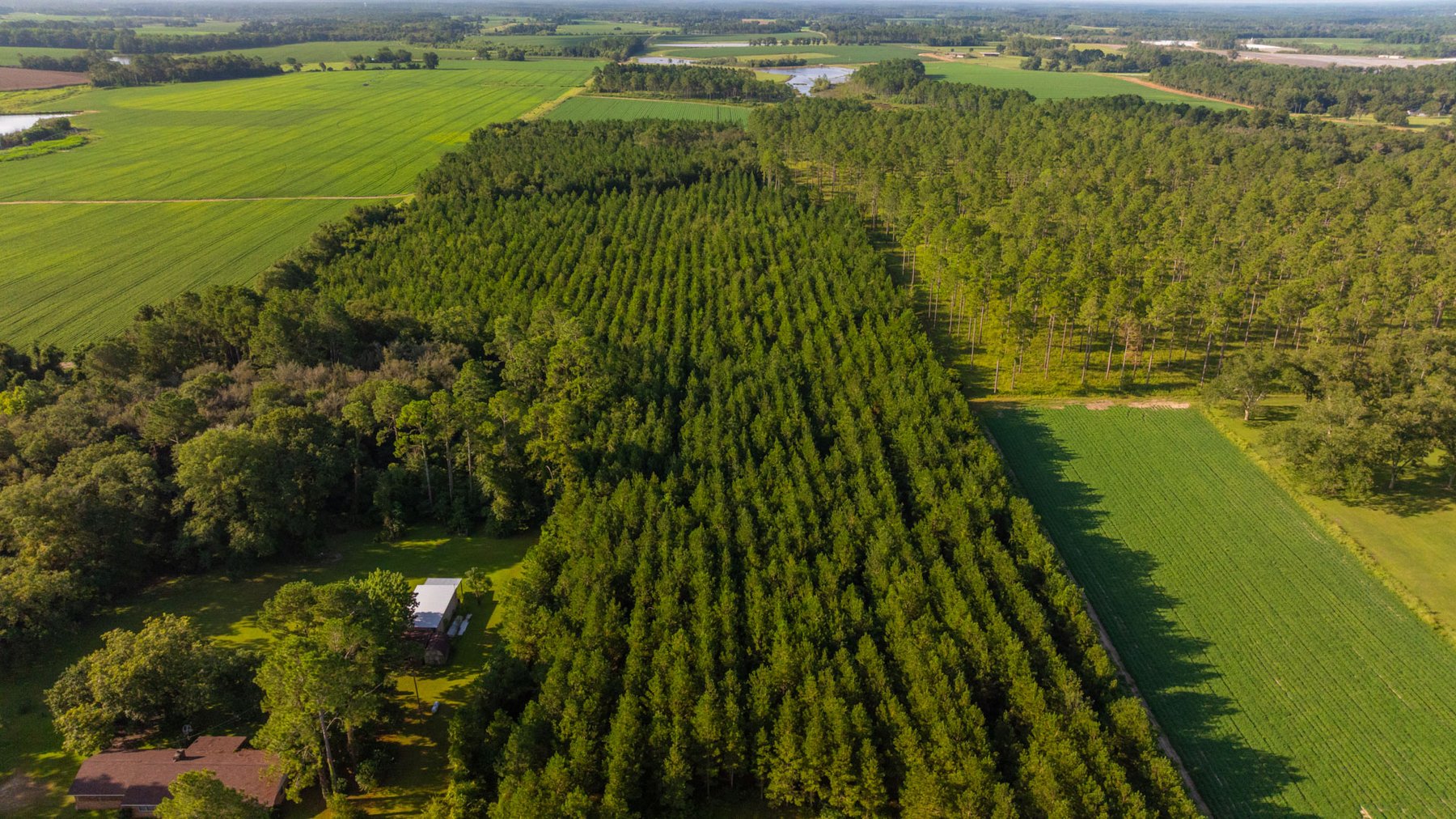 Image for 28+/- Total Acres - Versatile Land for Recreation & Living