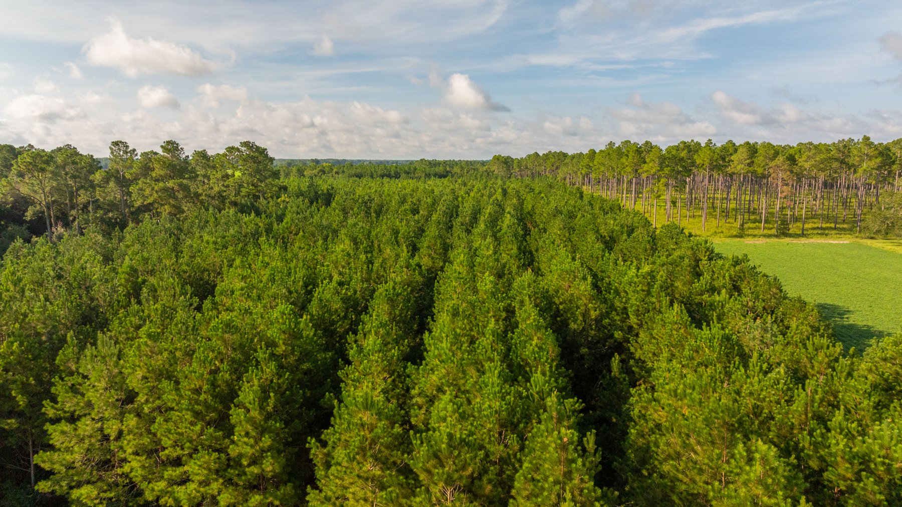 Image for 28+/- Total Acres - Versatile Land for Recreation & Living