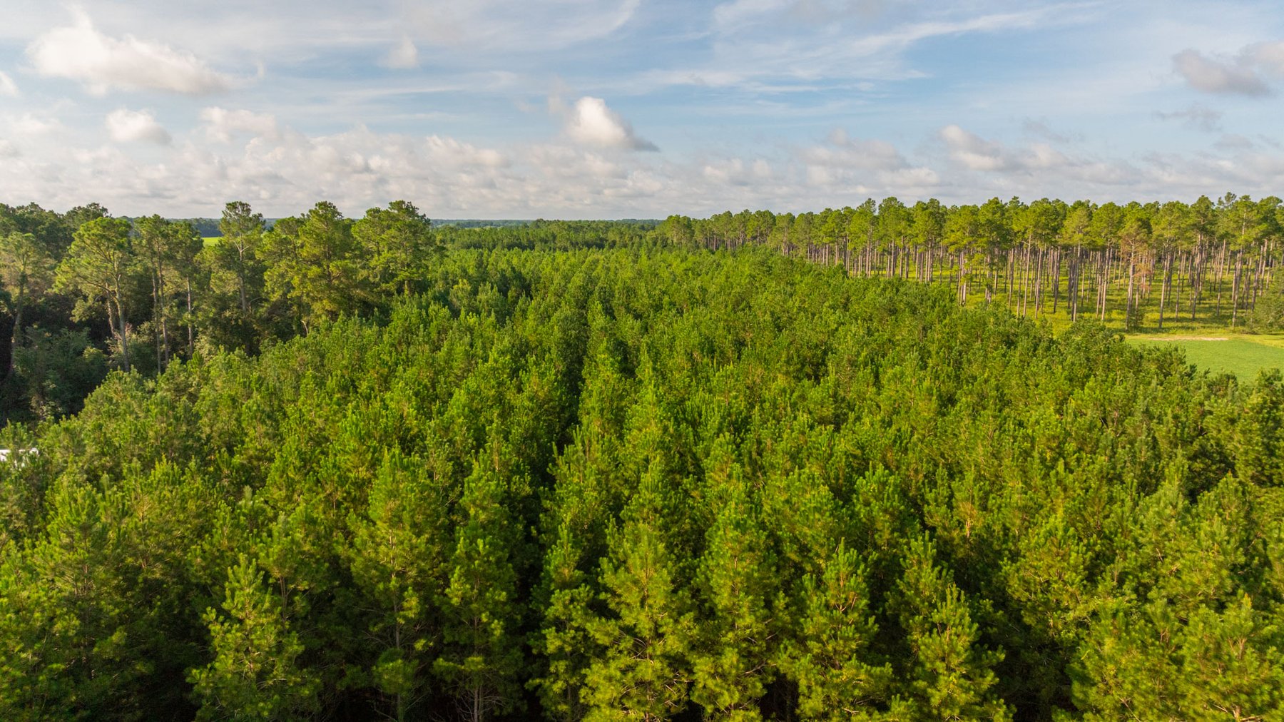 Image for 28+/- Total Acres - Versatile Land for Recreation & Living