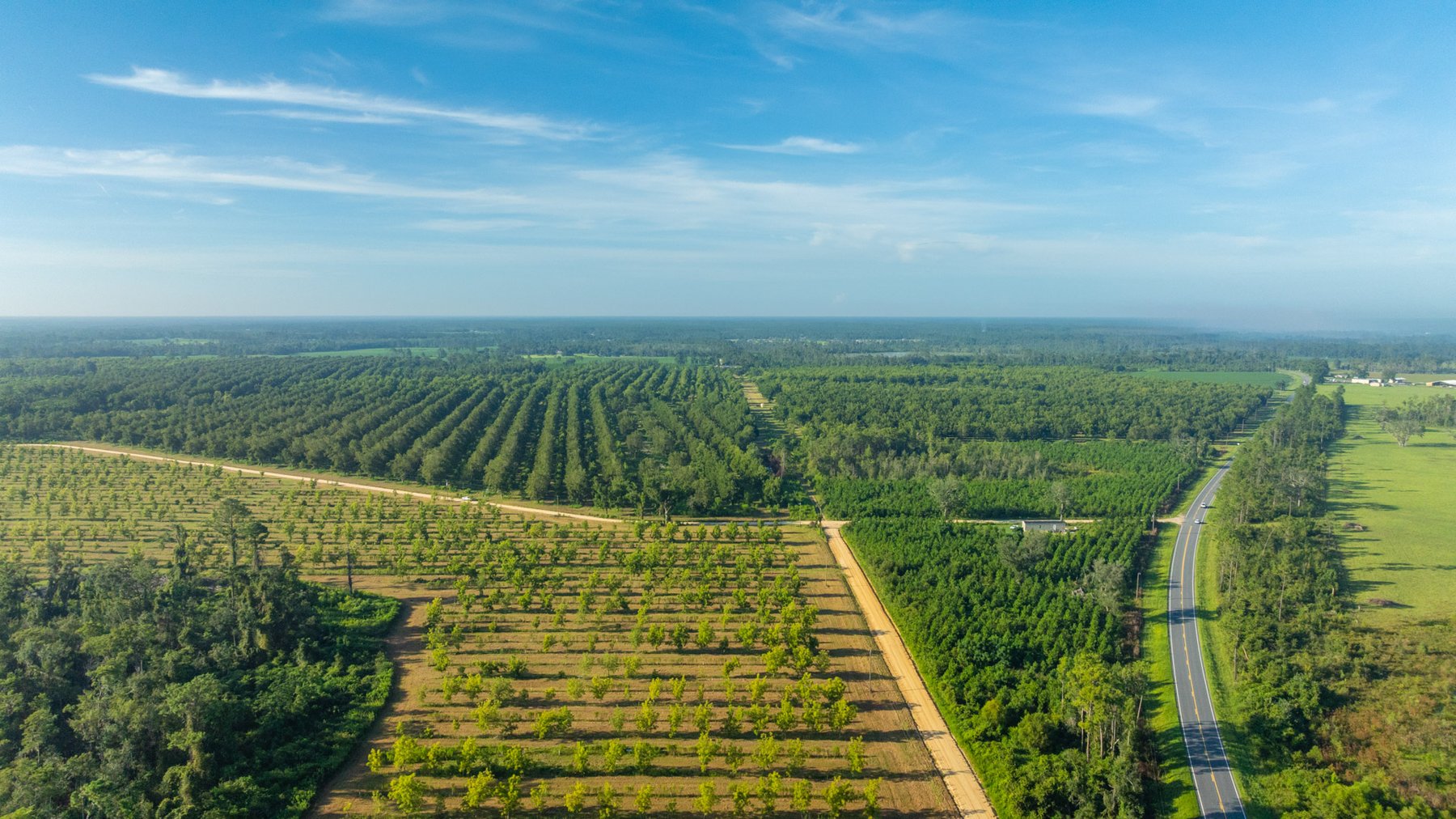 Image for 440± Acres - 7 Rock & Ganas Orchard - Exceptional Road Frontage w/ Mini-Farm Potential & Residential Lots - Irrigated Pecan Orchard with Strong Varieties