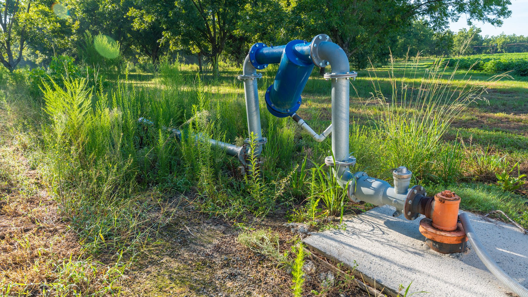 Image for 440± Acres - 7 Rock & Ganas Orchard - Exceptional Road Frontage w/ Mini-Farm Potential & Residential Lots - Irrigated Pecan Orchard with Strong Varieties