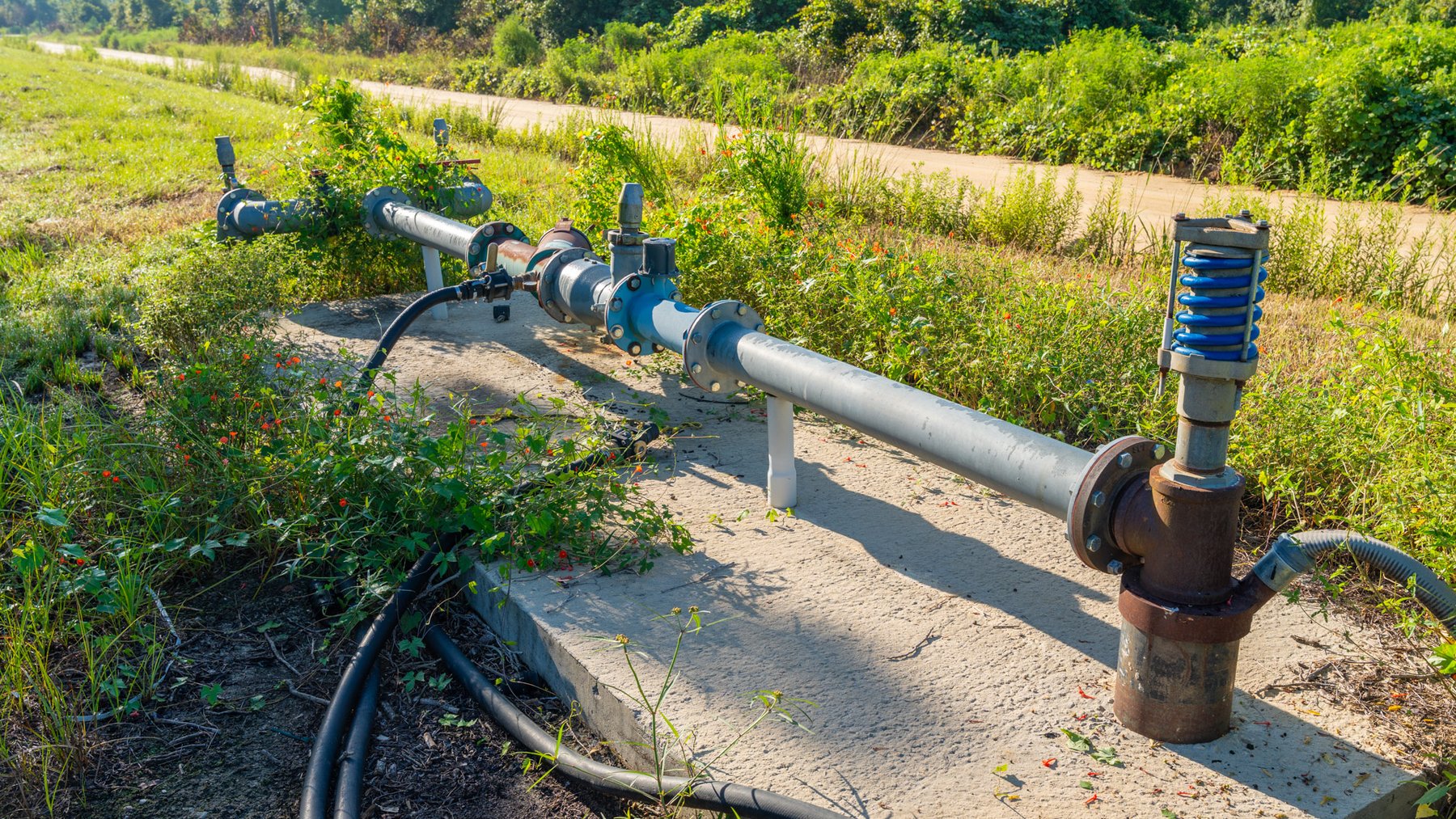 Image for 440± Acres - 7 Rock & Ganas Orchard - Exceptional Road Frontage w/ Mini-Farm Potential & Residential Lots - Irrigated Pecan Orchard with Strong Varieties