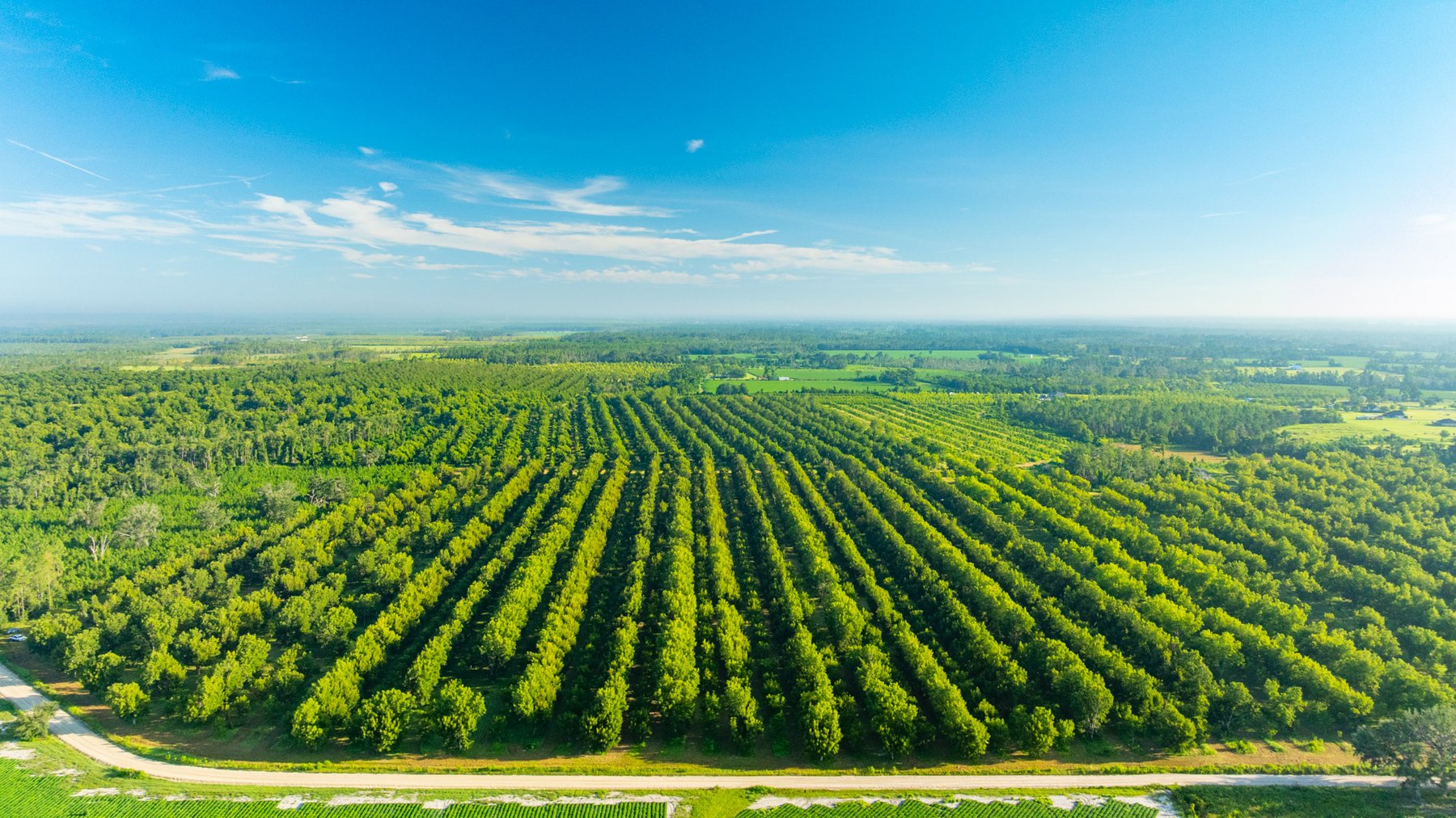 Image for 440± Acres - 7 Rock & Ganas Orchard - Exceptional Road Frontage w/ Mini-Farm Potential & Residential Lots - Irrigated Pecan Orchard with Strong Varieties