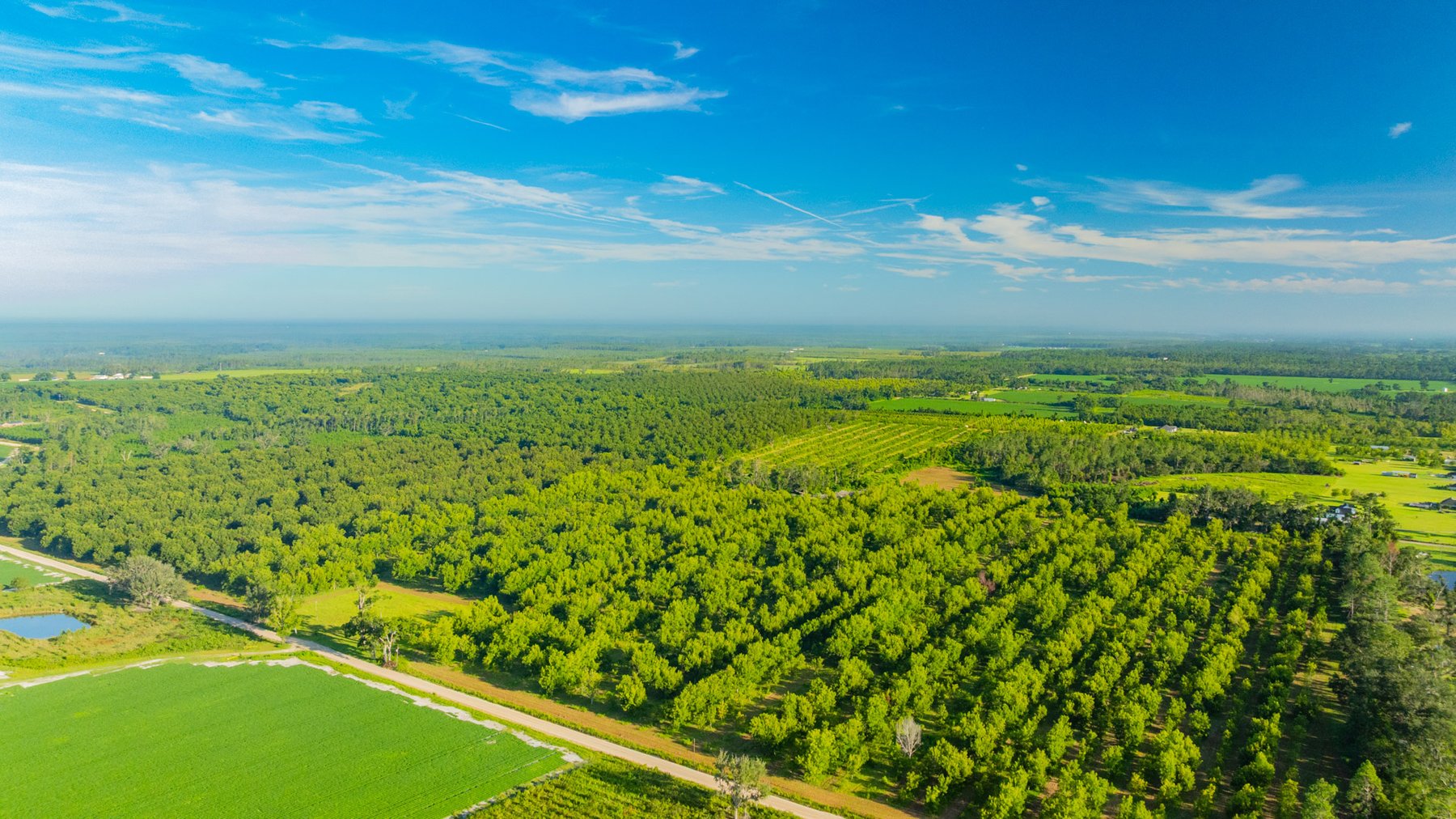Image for 440± Acres - 7 Rock & Ganas Orchard - Exceptional Road Frontage w/ Mini-Farm Potential & Residential Lots - Irrigated Pecan Orchard with Strong Varieties
