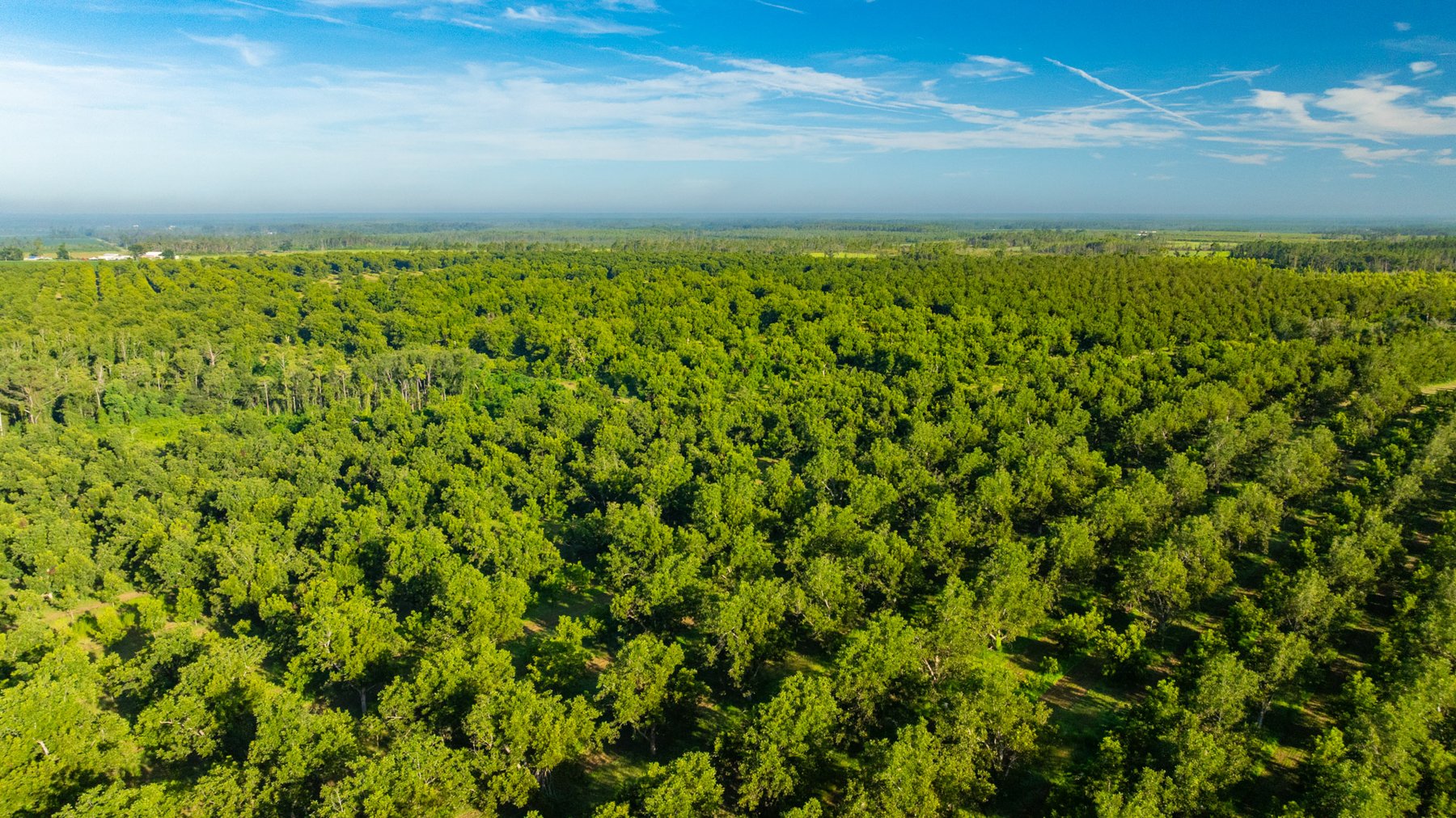 Image for 440± Acres - 7 Rock & Ganas Orchard - Exceptional Road Frontage w/ Mini-Farm Potential & Residential Lots - Irrigated Pecan Orchard with Strong Varieties