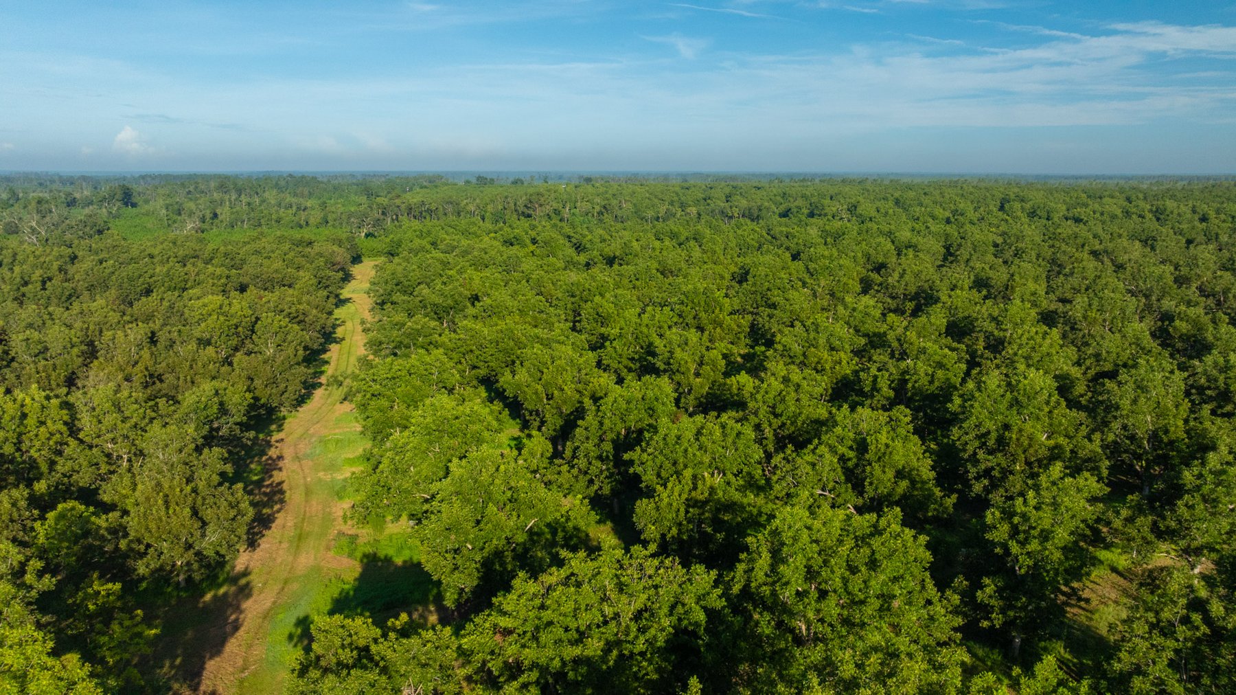 Image for 440± Acres - 7 Rock & Ganas Orchard - Exceptional Road Frontage w/ Mini-Farm Potential & Residential Lots - Irrigated Pecan Orchard with Strong Varieties