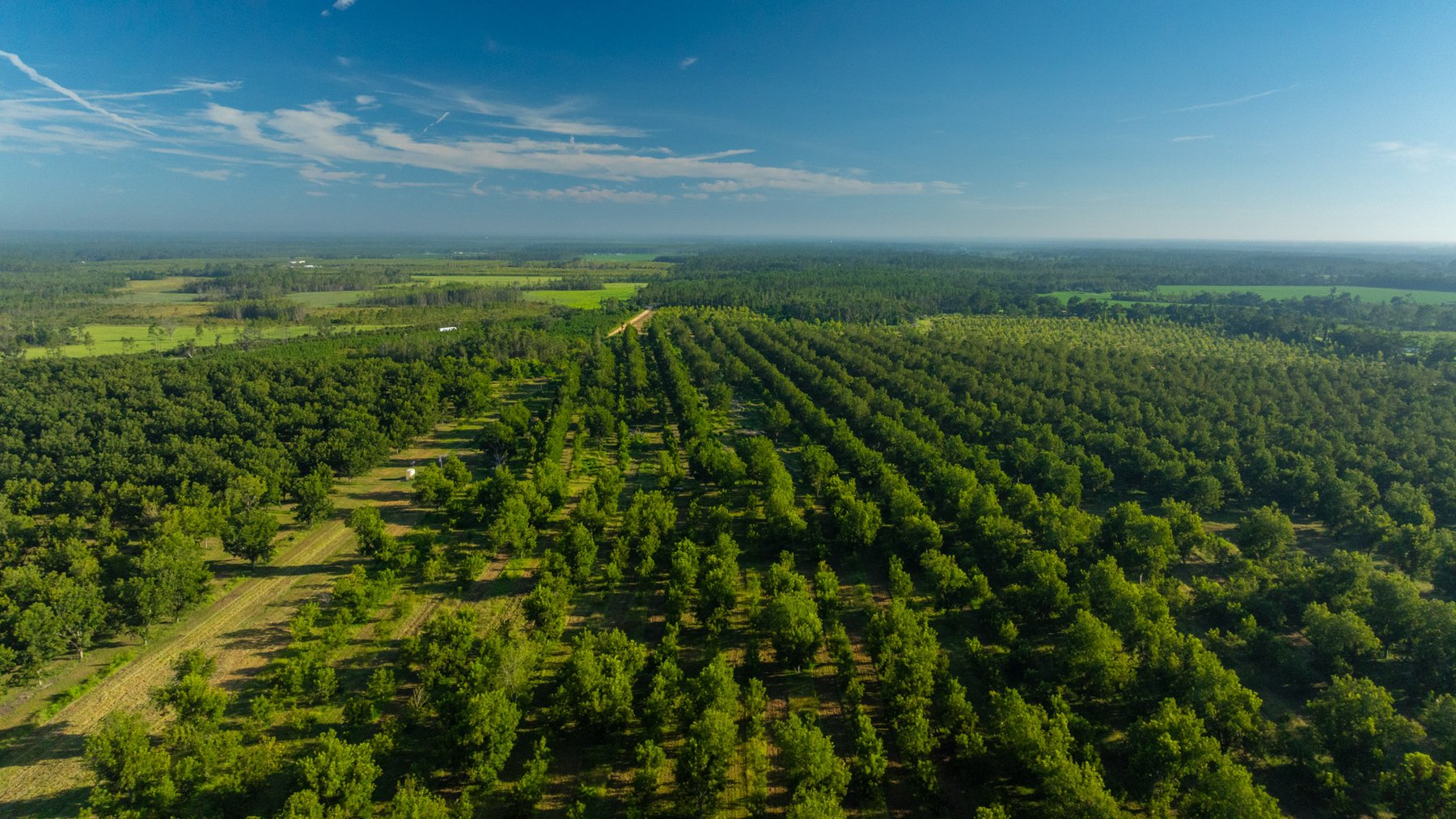 Image for 440± Acres - 7 Rock & Ganas Orchard - Exceptional Road Frontage w/ Mini-Farm Potential & Residential Lots - Irrigated Pecan Orchard with Strong Varieties