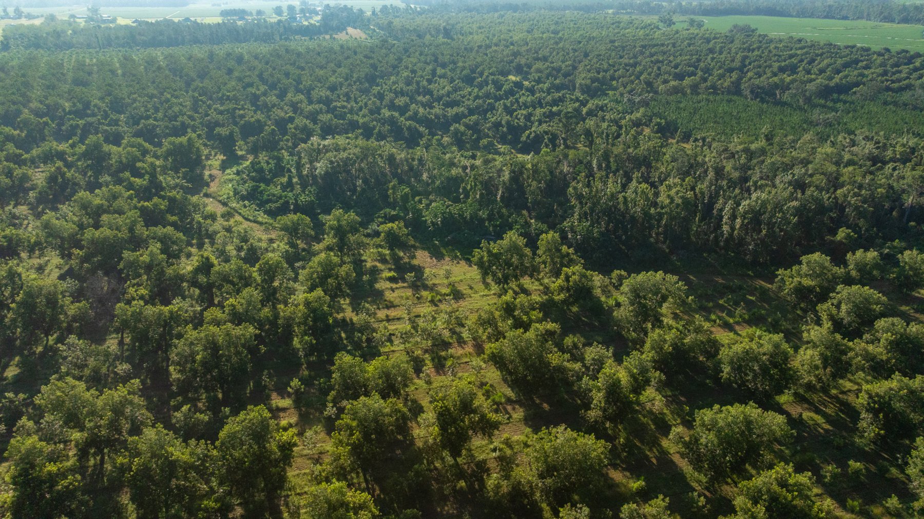 Image for 440± Acres - 7 Rock & Ganas Orchard - Exceptional Road Frontage w/ Mini-Farm Potential & Residential Lots - Irrigated Pecan Orchard with Strong Varieties