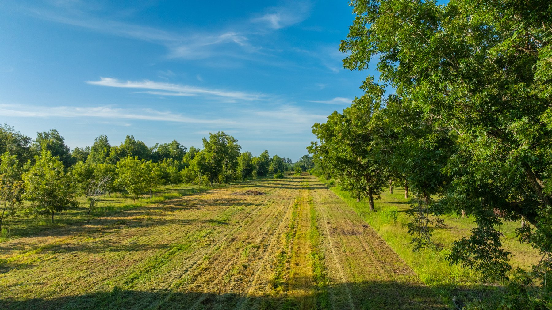 Image for 440± Acres - 7 Rock & Ganas Orchard - Exceptional Road Frontage w/ Mini-Farm Potential & Residential Lots - Irrigated Pecan Orchard with Strong Varieties