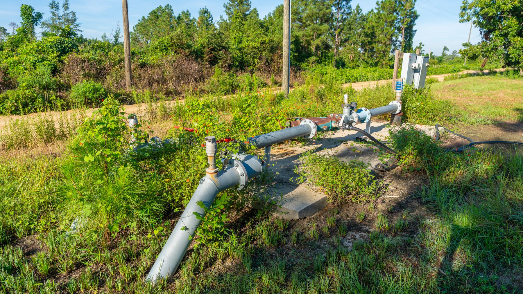 Image for 440± Acres - 7 Rock & Ganas Orchard - Exceptional Road Frontage w/ Mini-Farm Potential & Residential Lots - Irrigated Pecan Orchard with Strong Varieties