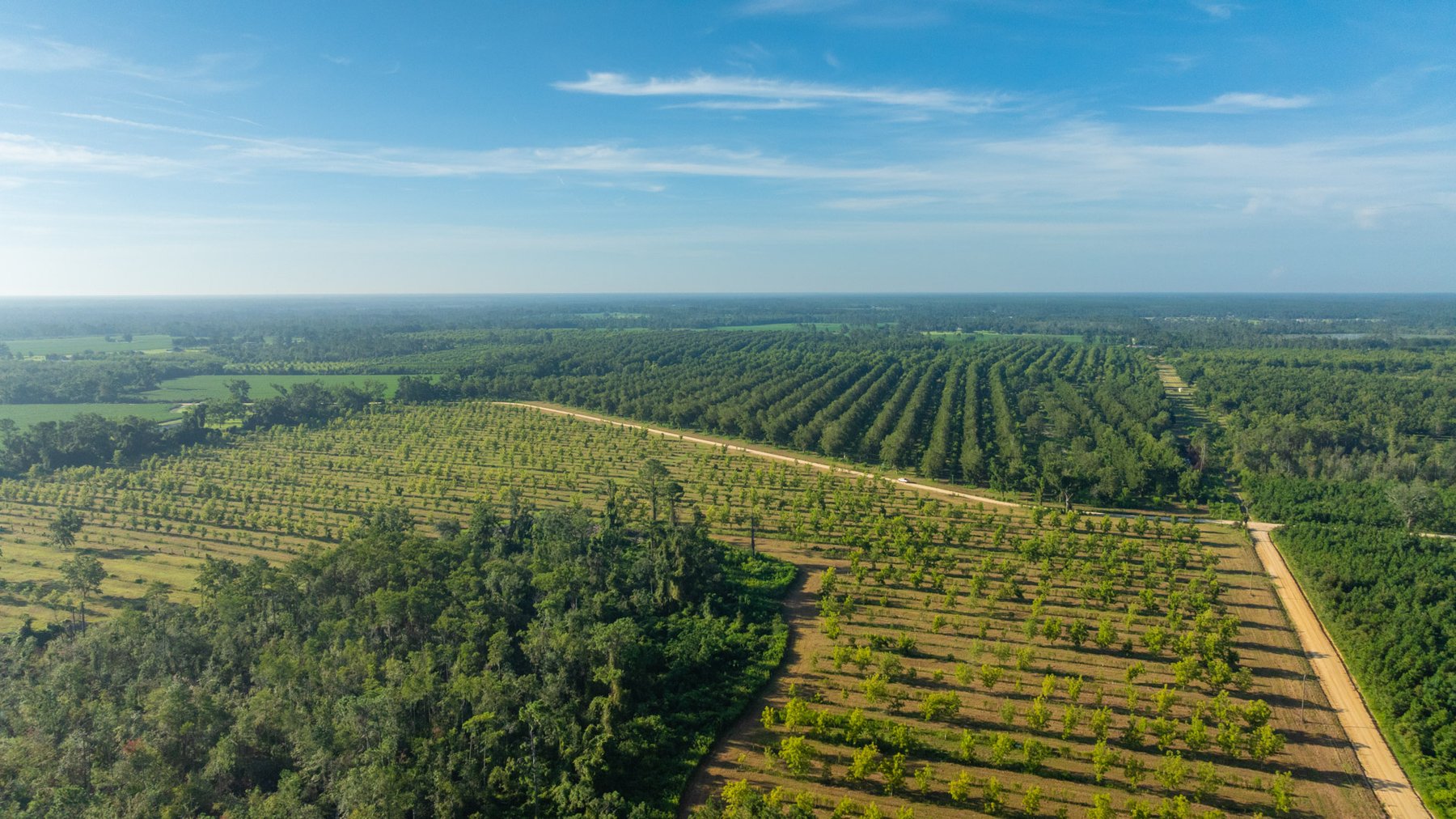 Image for 440± Acres - 7 Rock & Ganas Orchard - Exceptional Road Frontage w/ Mini-Farm Potential & Residential Lots - Irrigated Pecan Orchard with Strong Varieties
