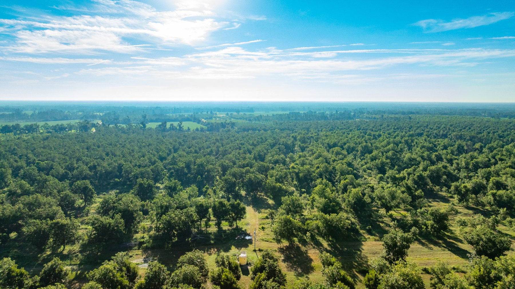 Image for 440± Acres - 7 Rock & Ganas Orchard - Exceptional Road Frontage w/ Mini-Farm Potential & Residential Lots - Irrigated Pecan Orchard with Strong Varieties