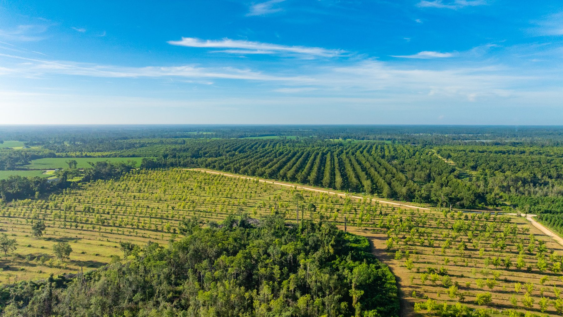 Image for 440± Acres - 7 Rock & Ganas Orchard - Exceptional Road Frontage w/ Mini-Farm Potential & Residential Lots - Irrigated Pecan Orchard with Strong Varieties