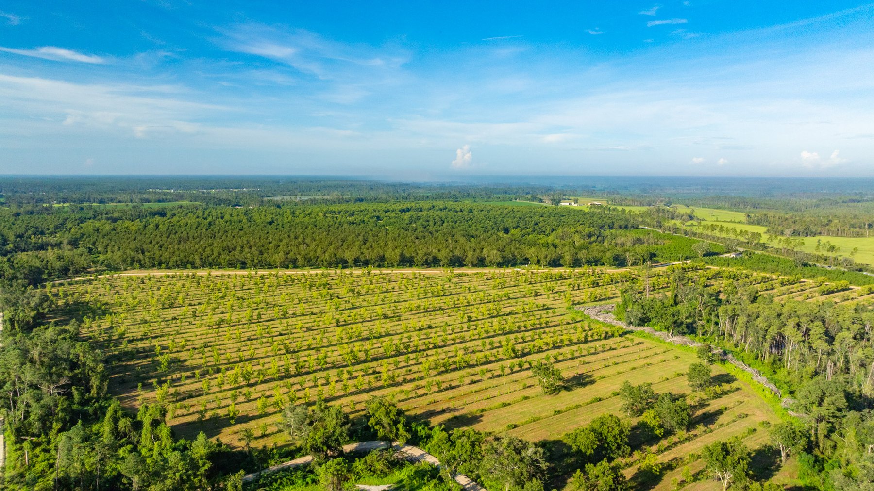 Image for 440± Acres - 7 Rock & Ganas Orchard - Exceptional Road Frontage w/ Mini-Farm Potential & Residential Lots - Irrigated Pecan Orchard with Strong Varieties