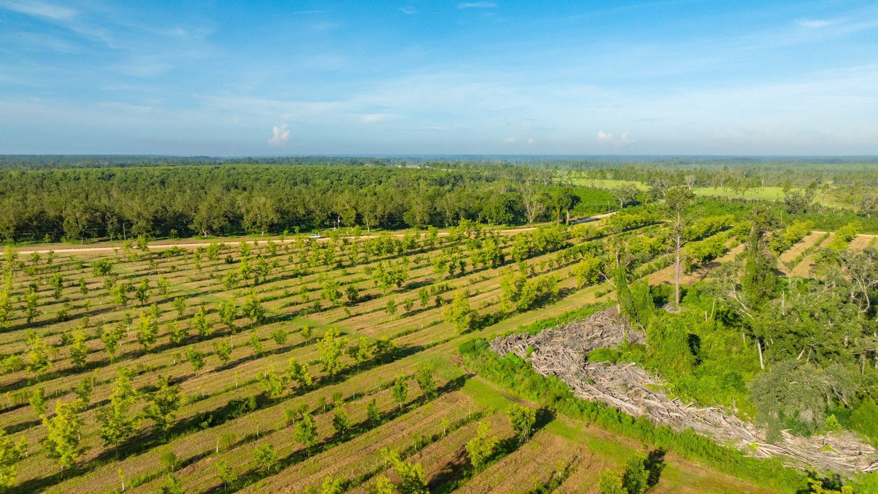 Image for 440± Acres - 7 Rock & Ganas Orchard - Exceptional Road Frontage w/ Mini-Farm Potential & Residential Lots - Irrigated Pecan Orchard with Strong Varieties