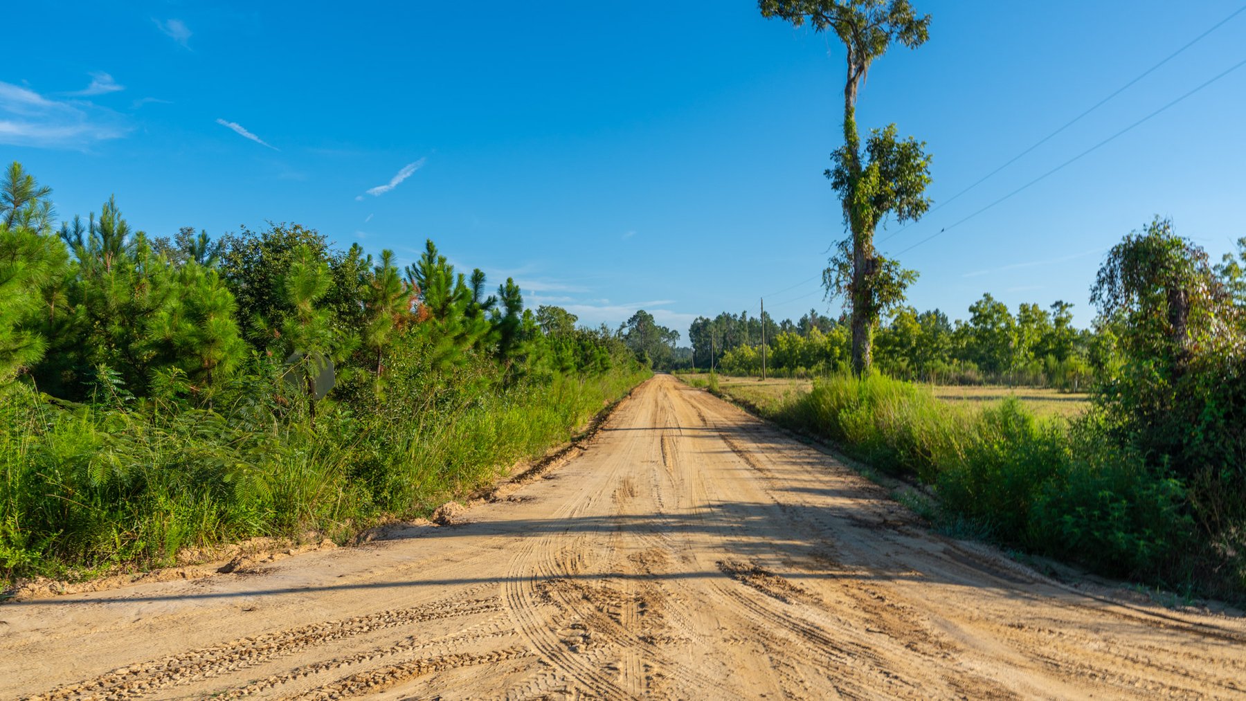 Image for 440± Acres - 7 Rock & Ganas Orchard - Exceptional Road Frontage w/ Mini-Farm Potential & Residential Lots - Irrigated Pecan Orchard with Strong Varieties