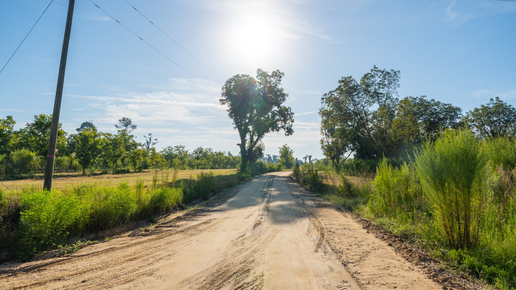 Image for 440± Acres - 7 Rock & Ganas Orchard - Exceptional Road Frontage w/ Mini-Farm Potential & Residential Lots - Irrigated Pecan Orchard with Strong Varieties