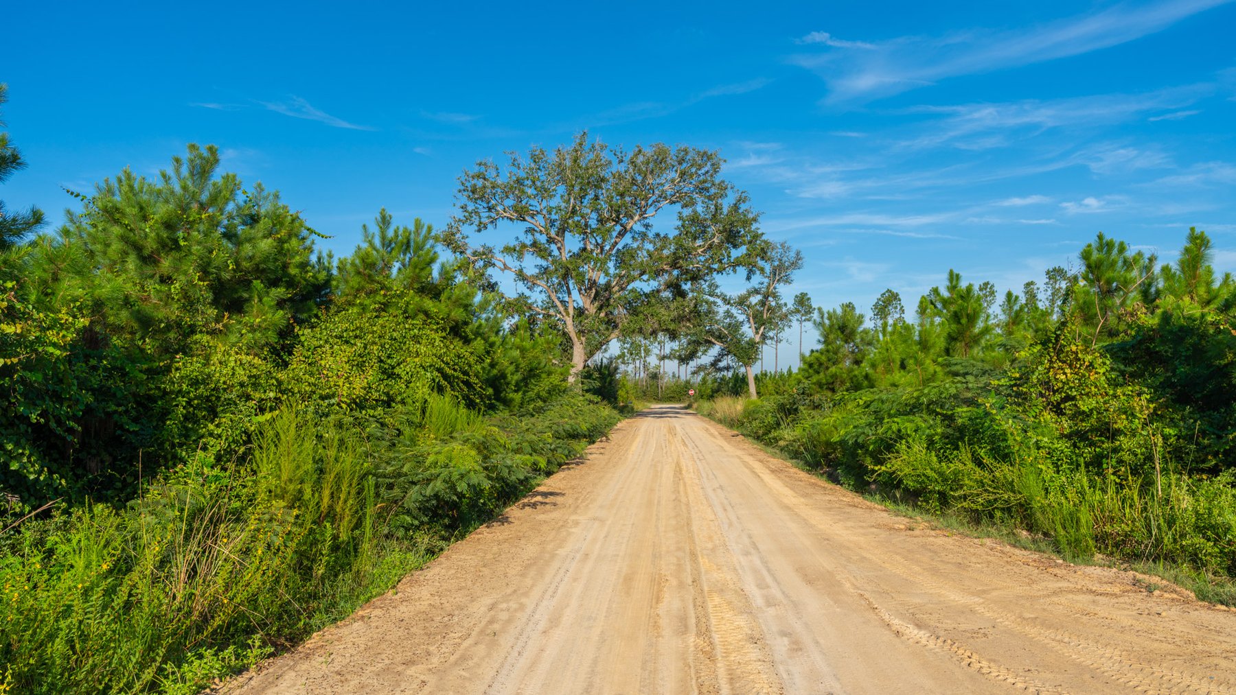 Image for 440± Acres - 7 Rock & Ganas Orchard - Exceptional Road Frontage w/ Mini-Farm Potential & Residential Lots - Irrigated Pecan Orchard with Strong Varieties