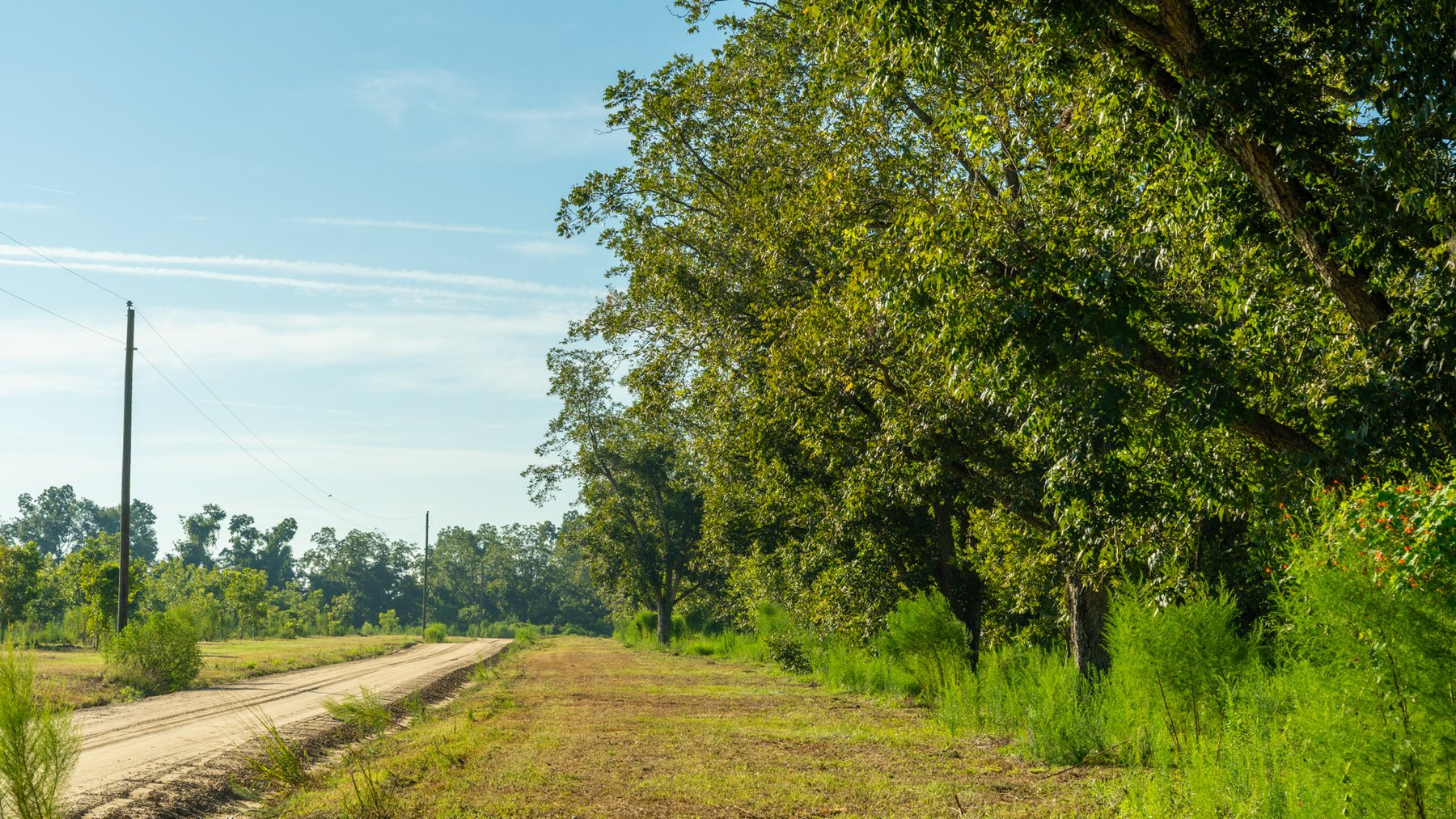 Image for 440± Acres - 7 Rock & Ganas Orchard - Exceptional Road Frontage w/ Mini-Farm Potential & Residential Lots - Irrigated Pecan Orchard with Strong Varieties