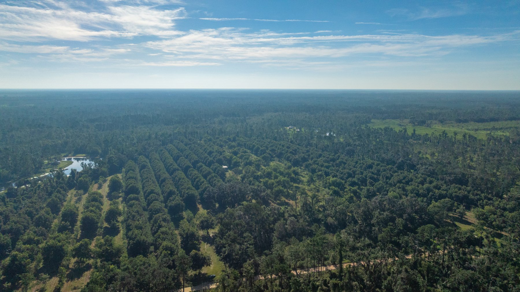 Image for 59± Acres - Owens Orchard - Mini Farm & Estate Potential - Irrigated Pecan Orchard with Wooded Uplands - Strong Investment Appeal