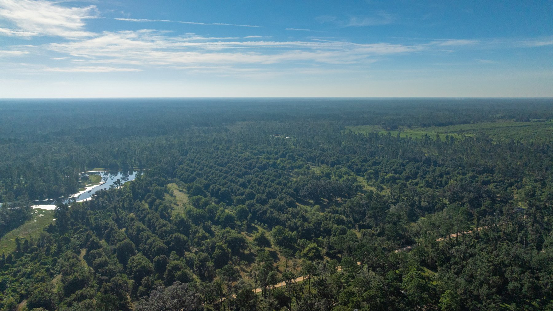 Image for 59± Acres - Owens Orchard - Mini Farm & Estate Potential - Irrigated Pecan Orchard with Wooded Uplands - Strong Investment Appeal