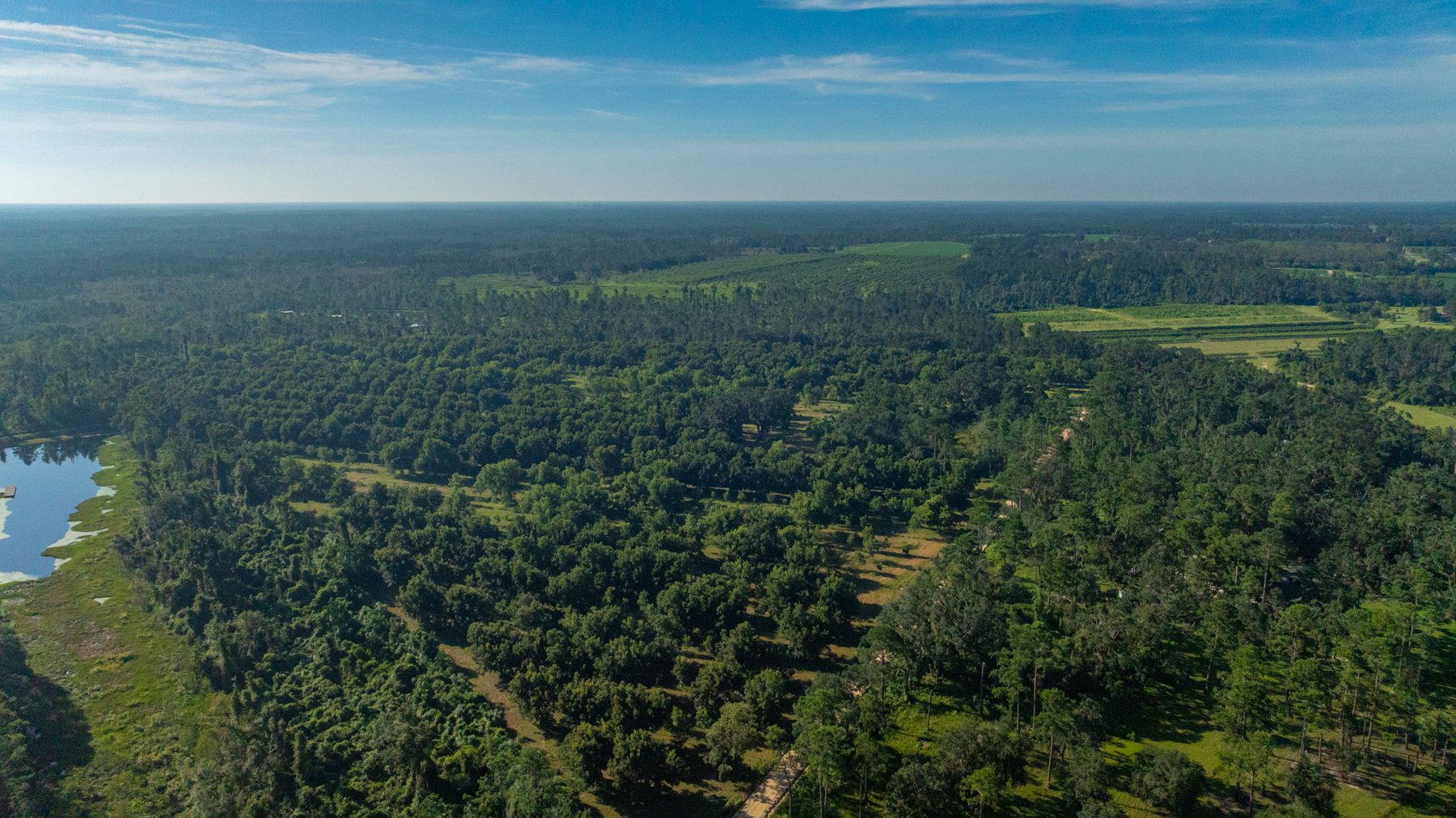Image for 59± Acres - Owens Orchard - Mini Farm & Estate Potential - Irrigated Pecan Orchard with Wooded Uplands - Strong Investment Appeal