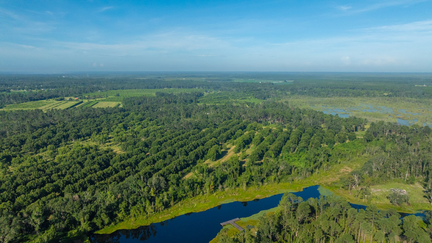 Image for 59± Acres - Owens Orchard - Mini Farm & Estate Potential - Irrigated Pecan Orchard with Wooded Uplands - Strong Investment Appeal