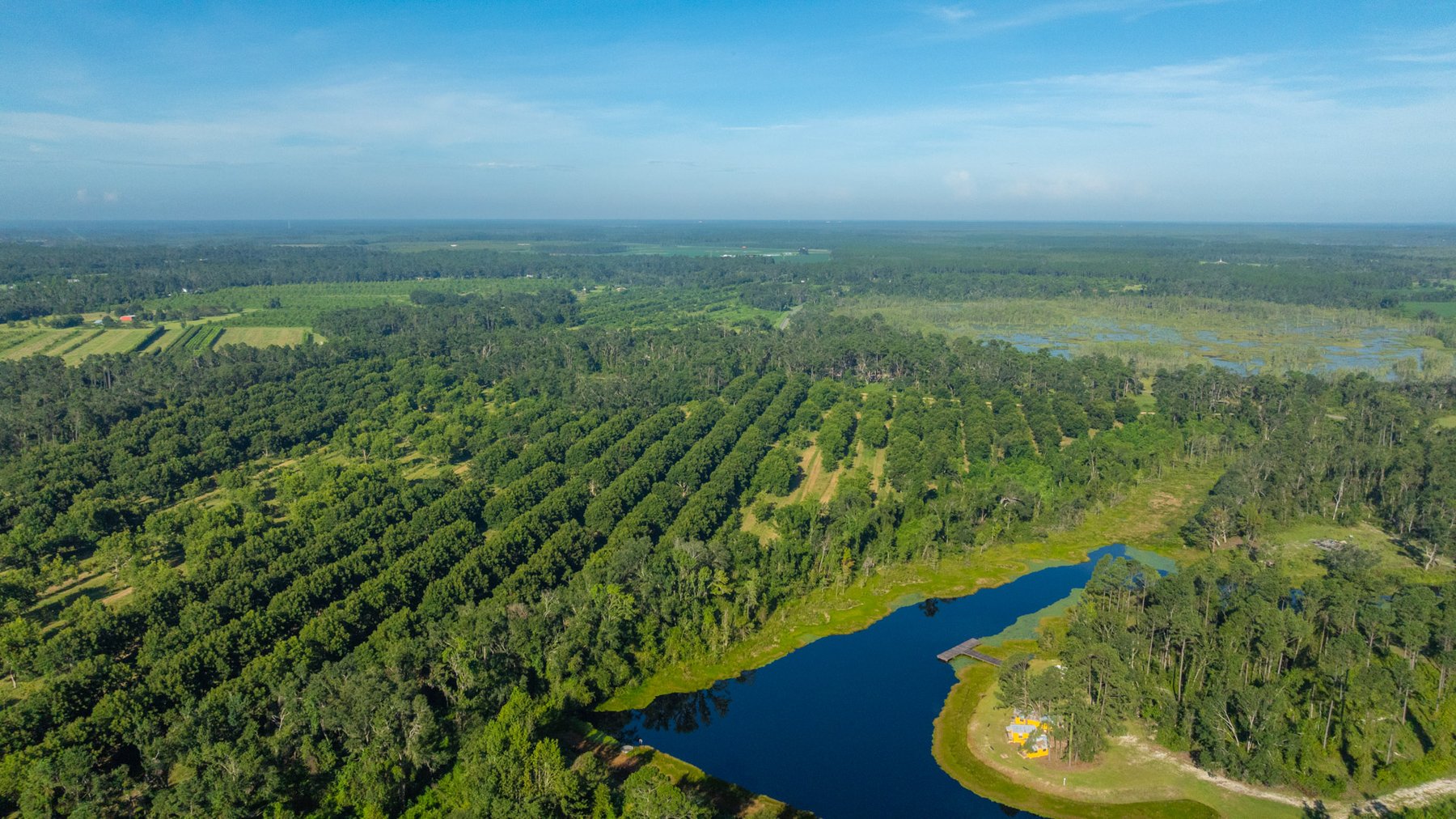 Image for 59± Acres - Owens Orchard - Mini Farm & Estate Potential - Irrigated Pecan Orchard with Wooded Uplands - Strong Investment Appeal