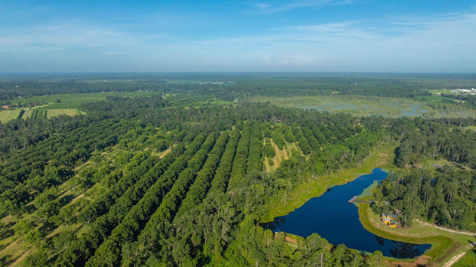 Image for 59± Acres - Owens Orchard - Mini Farm & Estate Potential - Irrigated Pecan Orchard with Wooded Uplands - Strong Investment Appeal