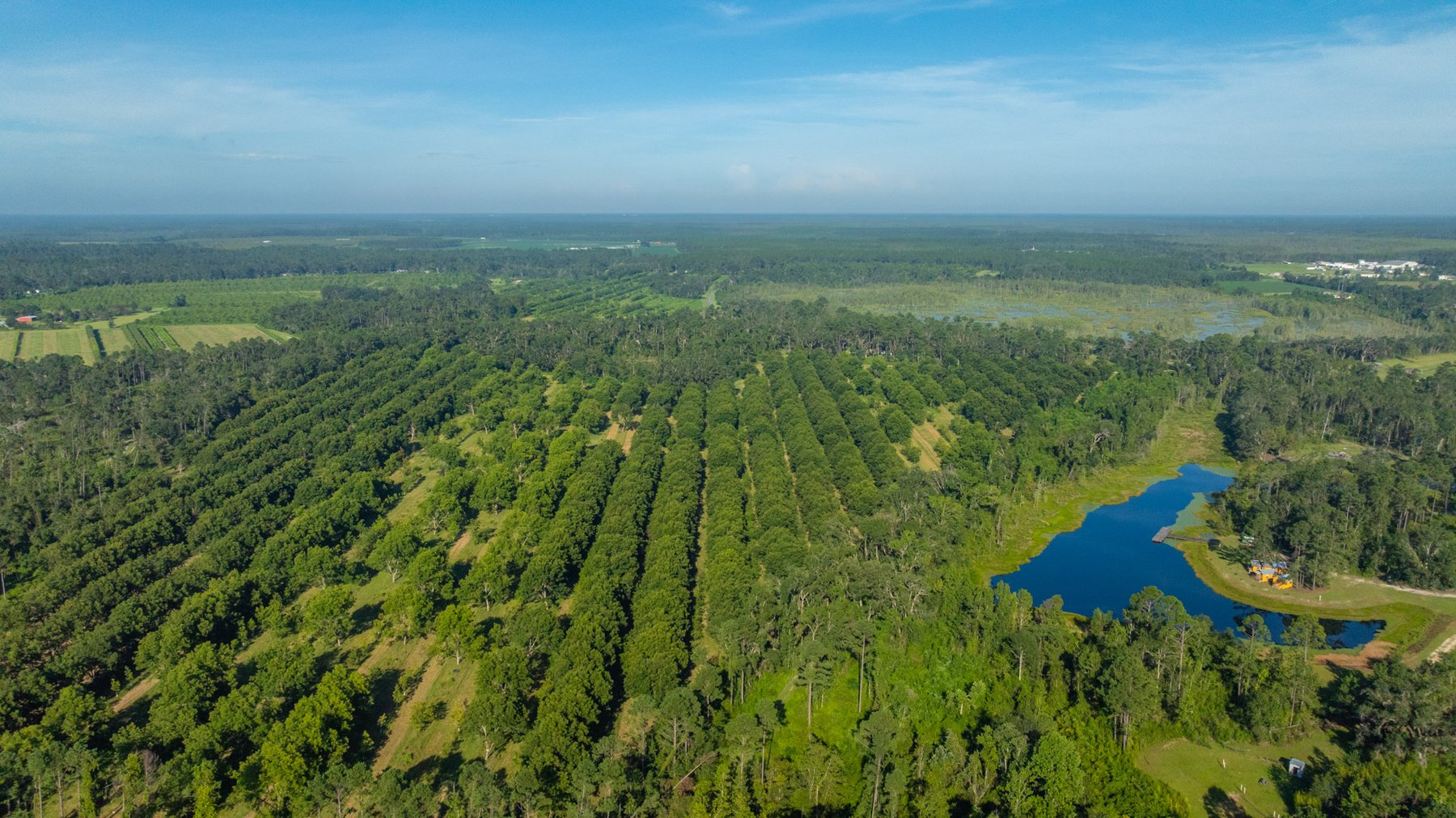 Image for 59± Acres - Owens Orchard - Mini Farm & Estate Potential - Irrigated Pecan Orchard with Wooded Uplands - Strong Investment Appeal