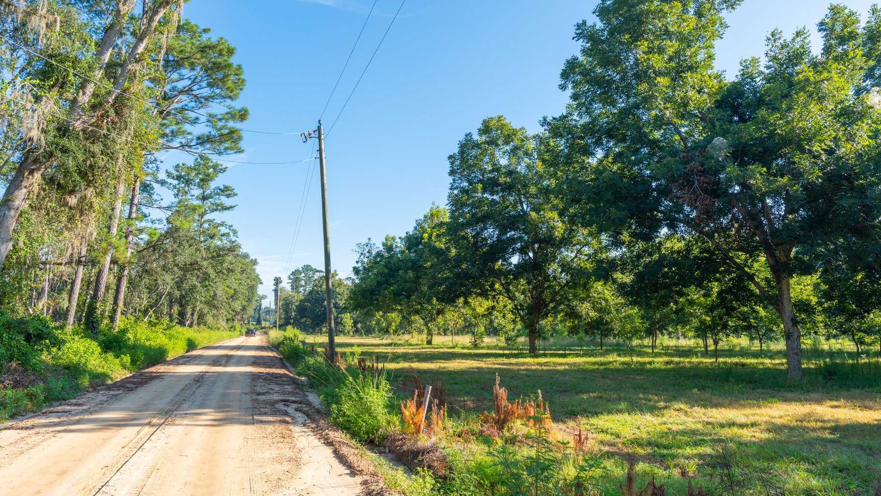 Image for 59± Acres - Owens Orchard - Mini Farm & Estate Potential - Irrigated Pecan Orchard with Wooded Uplands - Strong Investment Appeal