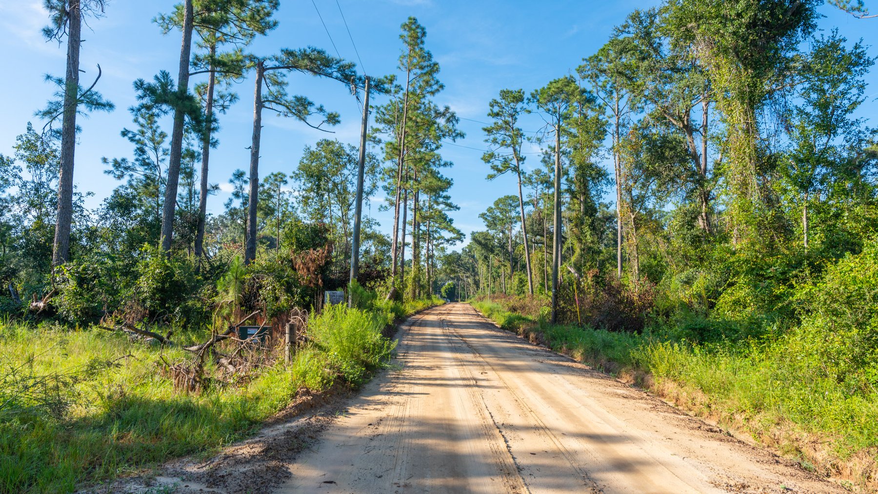 Image for 59± Acres - Owens Orchard - Mini Farm & Estate Potential - Irrigated Pecan Orchard with Wooded Uplands - Strong Investment Appeal