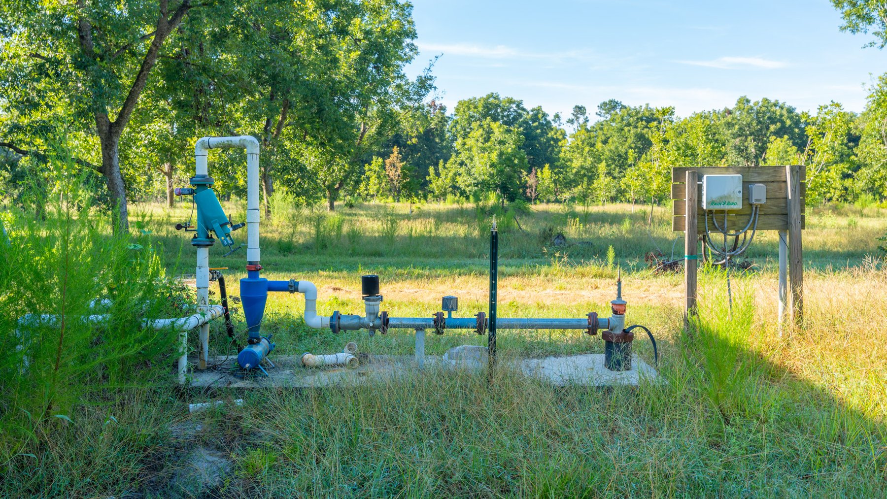 Image for 59± Acres - Owens Orchard - Mini Farm & Estate Potential - Irrigated Pecan Orchard with Wooded Uplands - Strong Investment Appeal