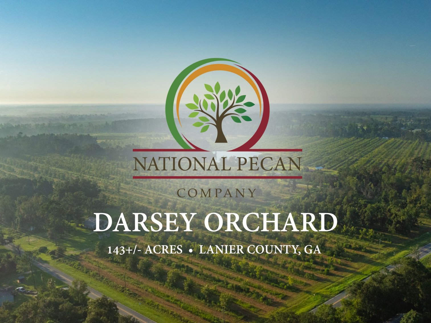 Image for 143± Acres - Darsey Orchard - Surrounded by Residential Growth with Mini-Farm Opportunities - Irrigated Pecan Orchard with Ample Frontage