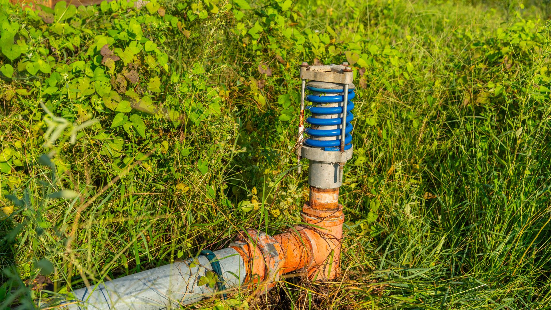 Image for 143± Acres - Darsey Orchard - Surrounded by Residential Growth with Mini-Farm Opportunities - Irrigated Pecan Orchard with Ample Frontage