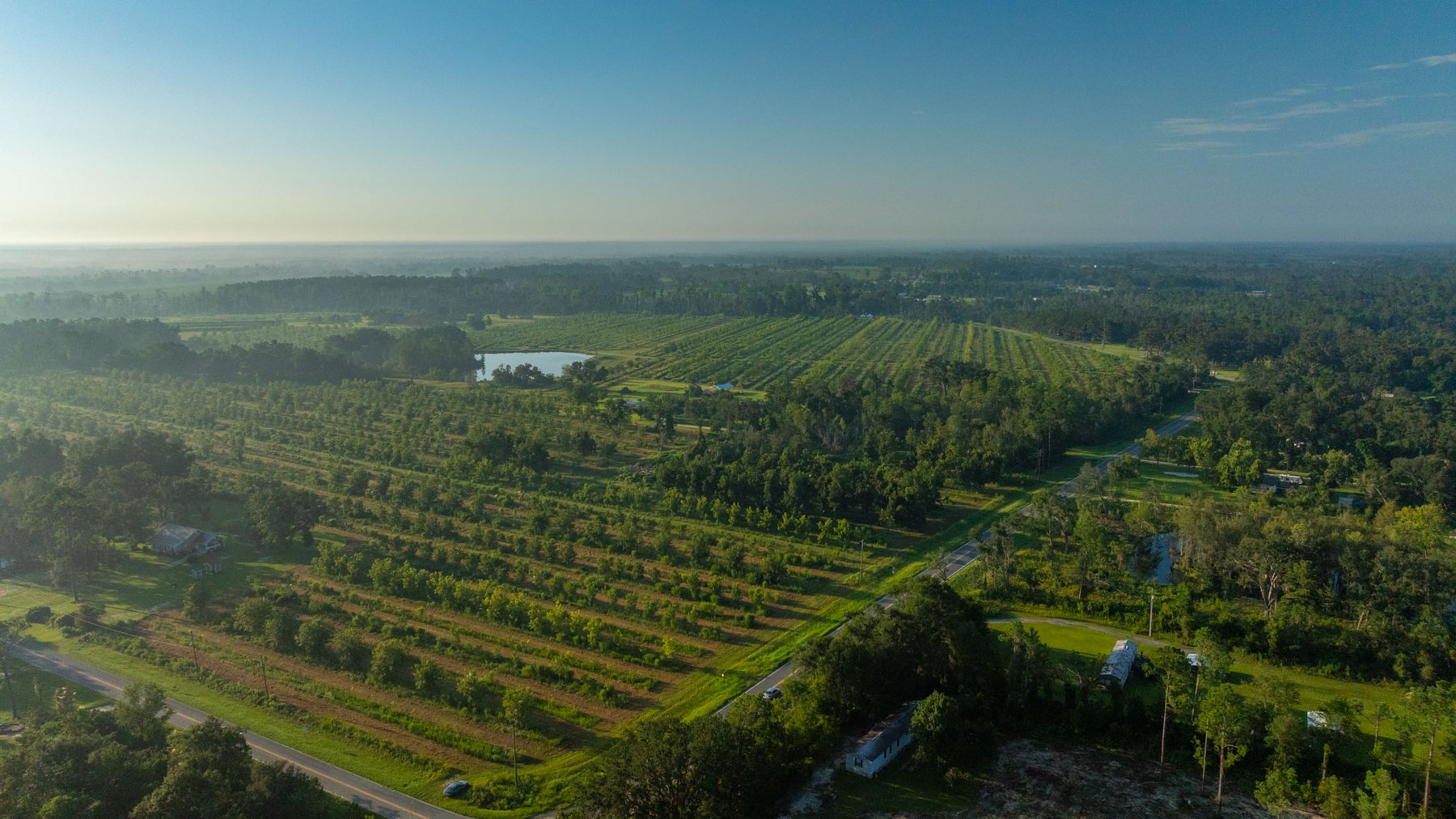 Image for 143± Acres - Darsey Orchard - Surrounded by Residential Growth with Mini-Farm Opportunities - Irrigated Pecan Orchard with Ample Frontage